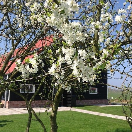 Ferienwohnung Hofwestdijk Vrouwenpolder Exterior foto