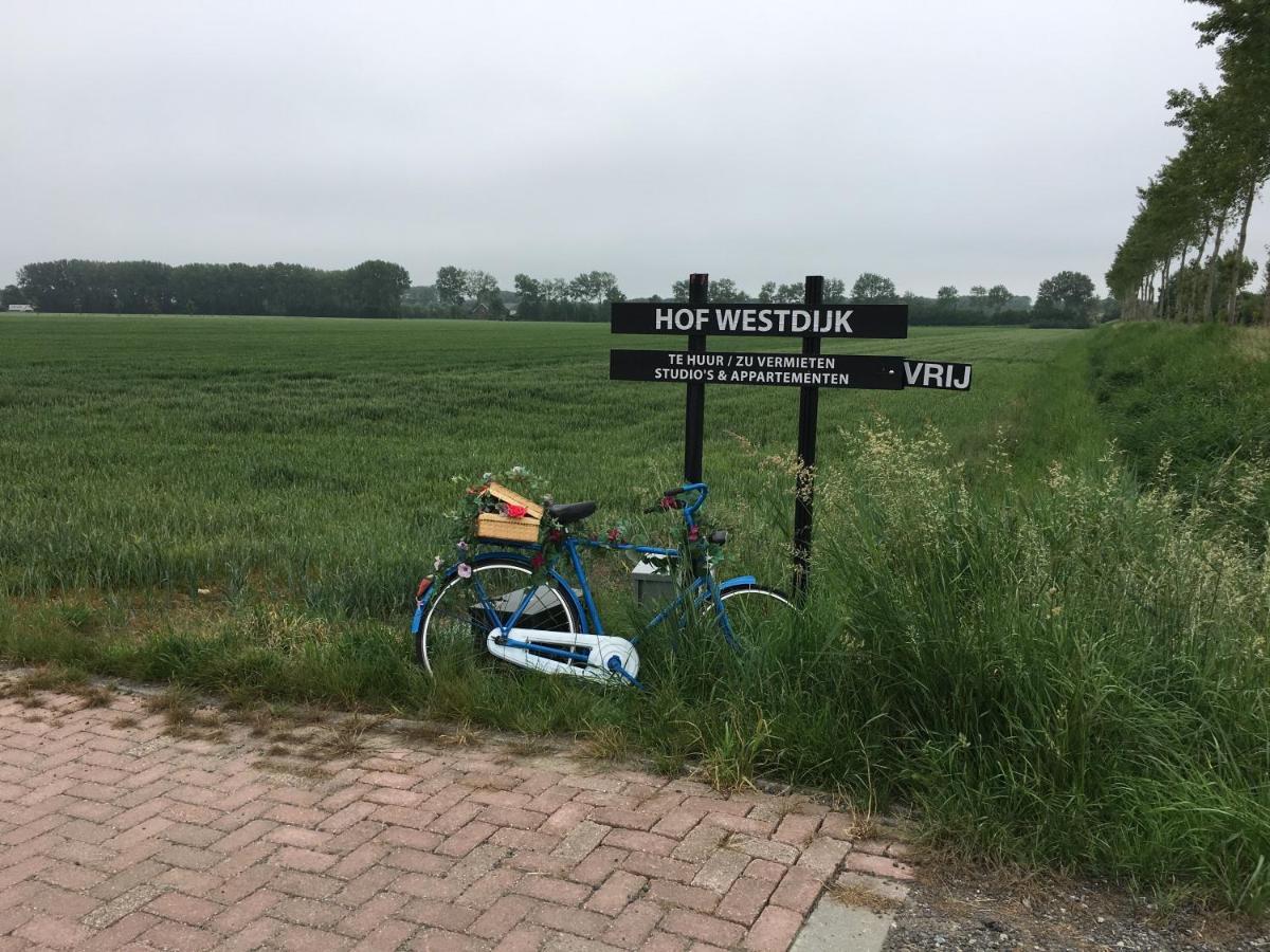 Ferienwohnung Hofwestdijk Vrouwenpolder Exterior foto