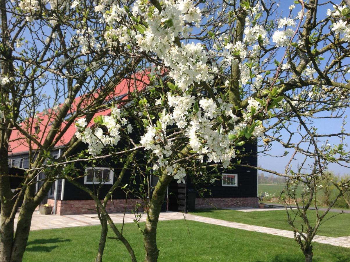 Ferienwohnung Hofwestdijk Vrouwenpolder Exterior foto