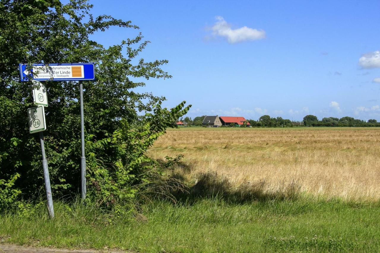 Ferienwohnung Hofwestdijk Vrouwenpolder Exterior foto